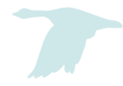 blue bird icon