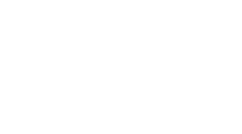 Virginia state outline