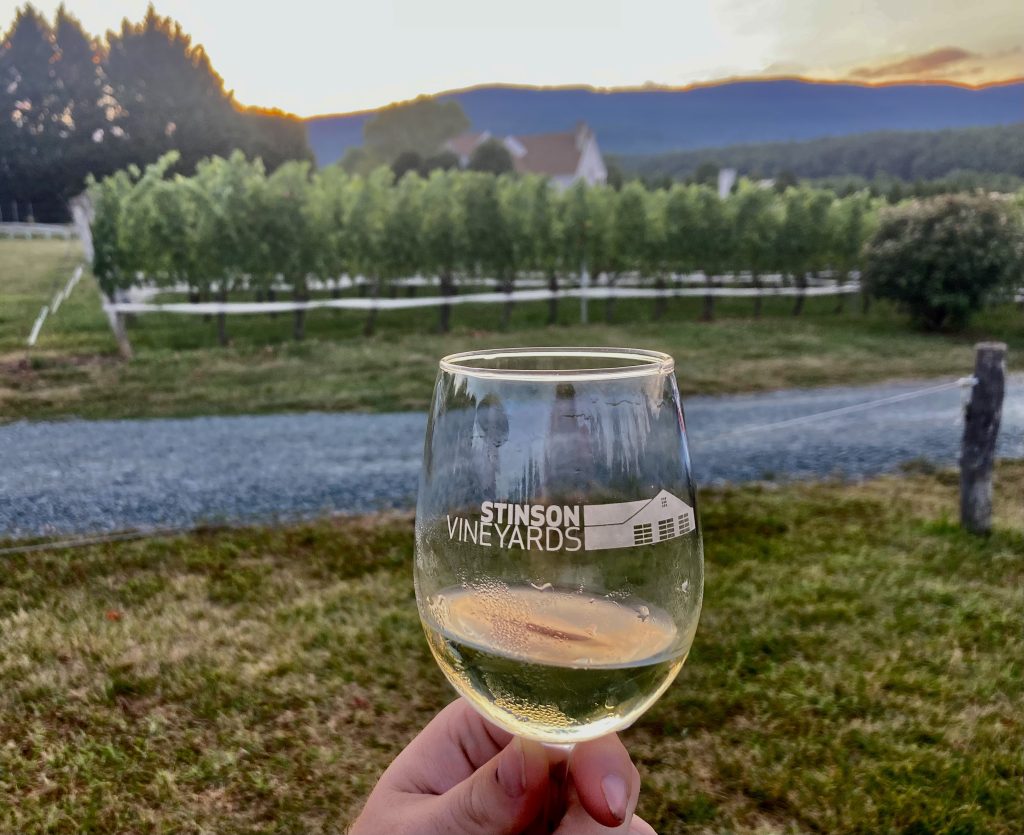 Glass of wine in front of grape vines