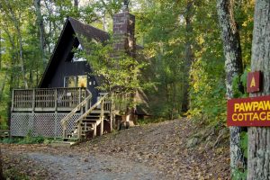 A-frame cabin in woods