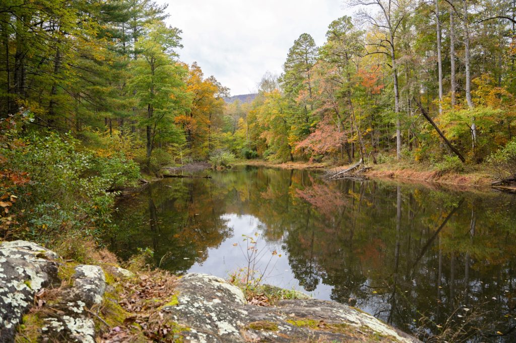 fall colors around lake