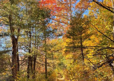 Your Guide To A Relaxing Fall Getaway at Montfair