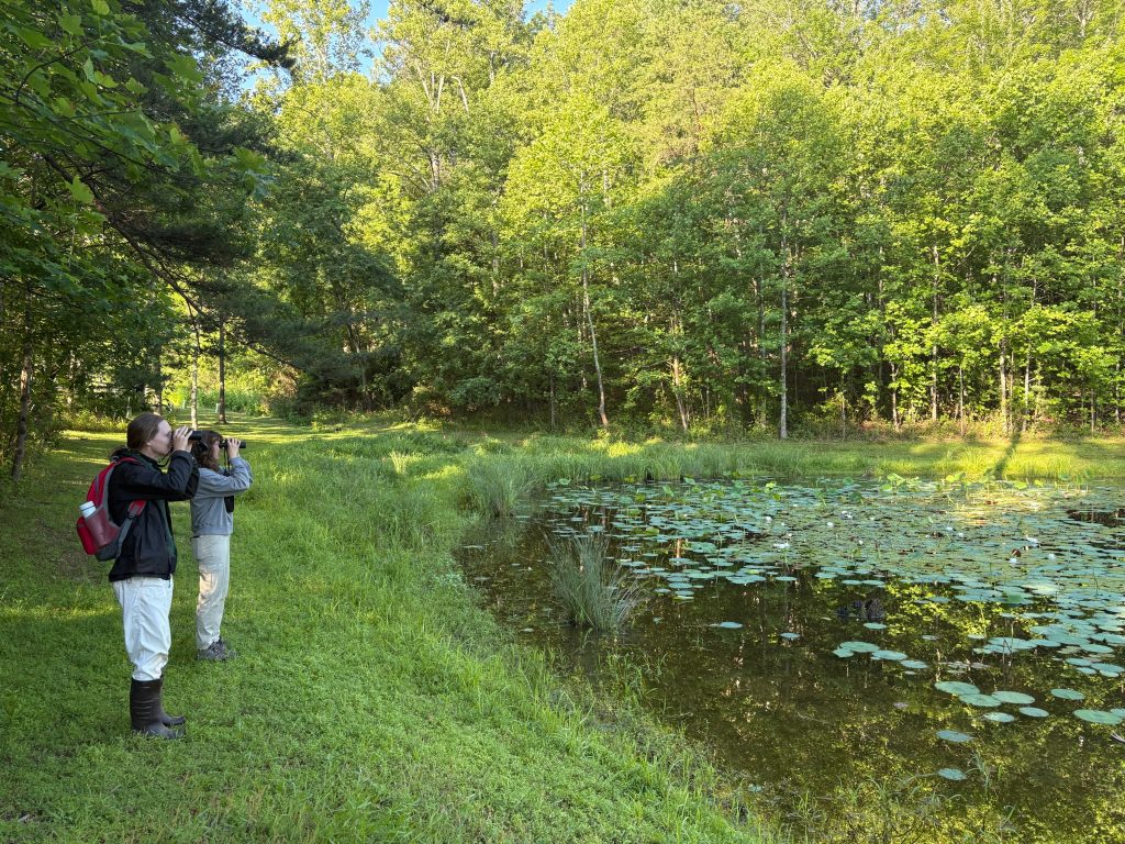 woman birdwatching